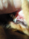 201208050647000.jpg