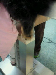 201208051938000.jpg