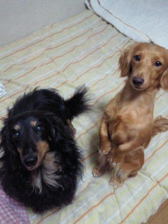 201208090001001.jpg