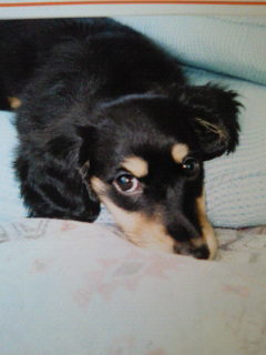 201208150759000.jpg