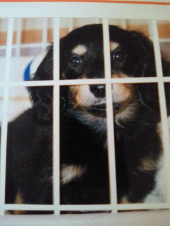 201208150758001.jpg