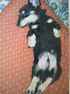 201208150801000.jpg