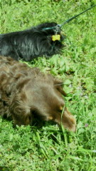 201104201047000.jpg