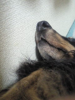 201210122330001.jpg