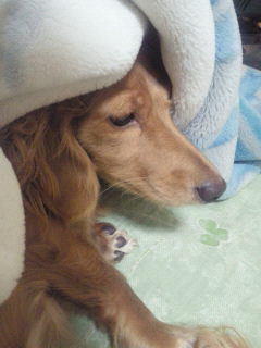 201210122331000.jpg