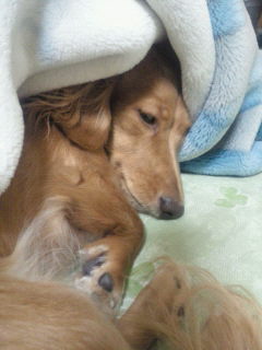 201210122331001.jpg