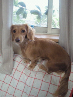 201211110731000.jpg