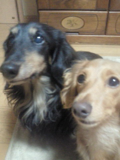 201211042138001.jpg