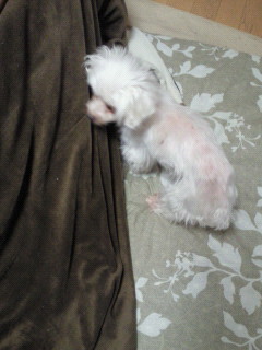 201211202055002.jpg