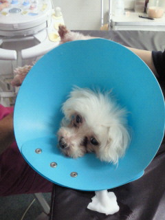 201211211226000.jpg