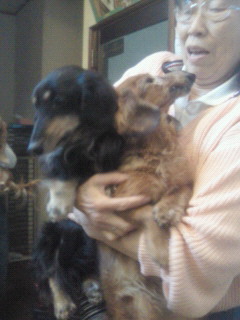 201211241321000.jpg