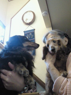 201211241319000.jpg