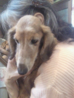 201211241321002.jpg