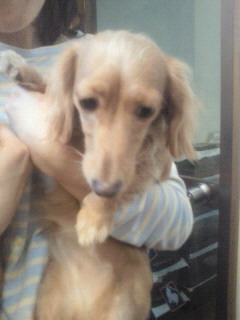 201211241320002.jpg