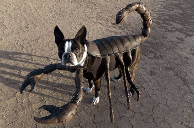 cool_dog_costume_ideas_for_halloween_640_14.jpg