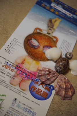 海はひろいな