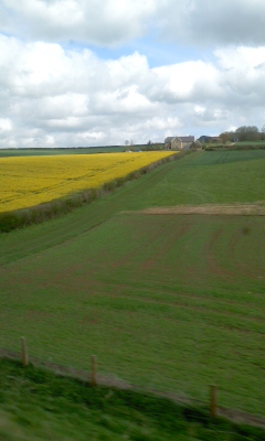 20120504_2091170.jpg