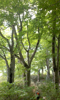 20120606_2269832.jpg