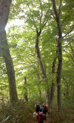 20120606_2269871.jpg