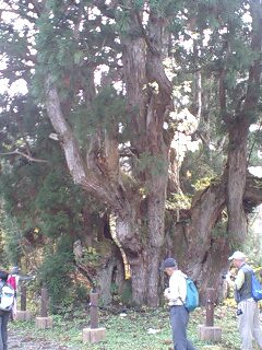 20120810_2666579.jpg