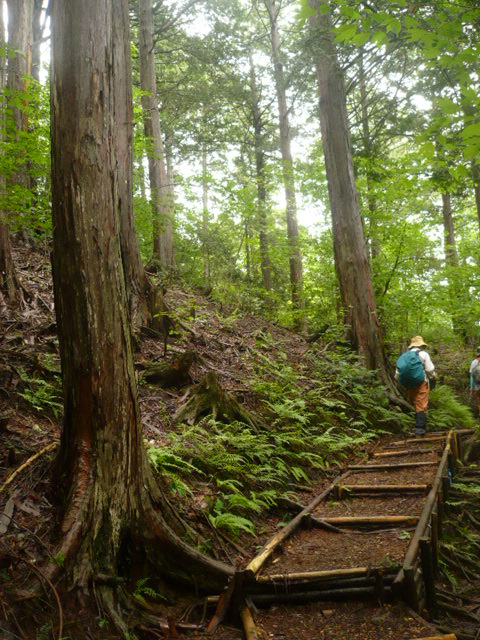 20120920_2971615.jpg