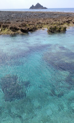 20120510_2107462.jpg