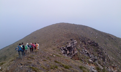 20120331_1998655.jpg