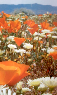 20120401_2000980.jpg