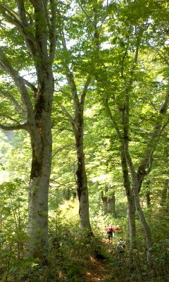 20120608_2281764.jpg