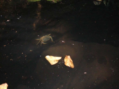 ???4