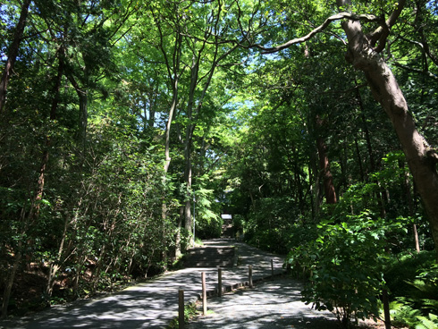 myohonji_20140517