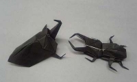 カブトムシとクワガタムシ