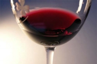 ボジョレ・ヌーボ2009、新酒の輝き。