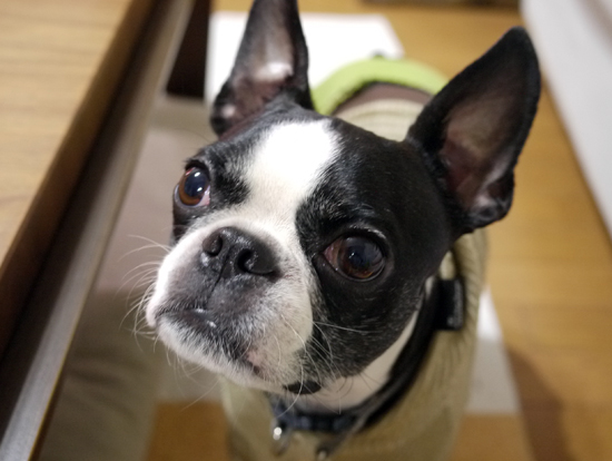 P1010937.jpg
