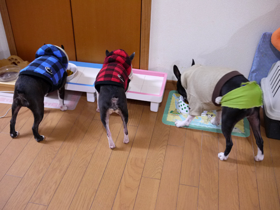 P1010947.jpg