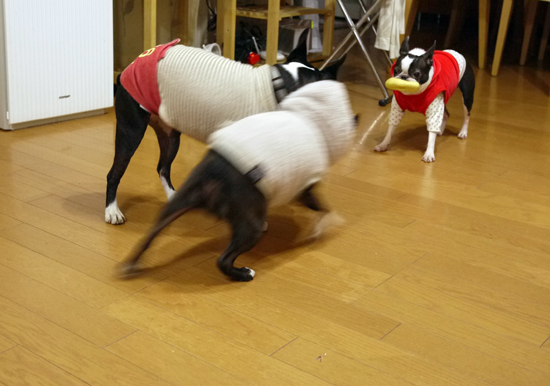 P1020010.jpg