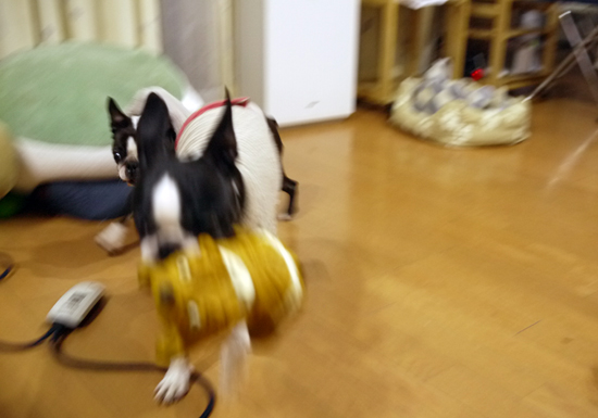 P1020011.jpg