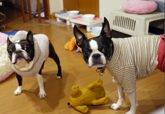 P1020015.jpg