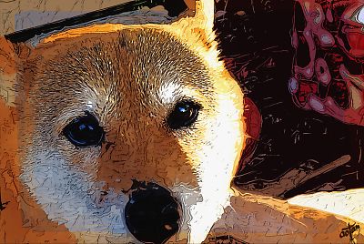 一回り したね (*^-^*) ご苦労様