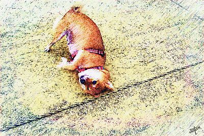 香水は 首すじに ・・・