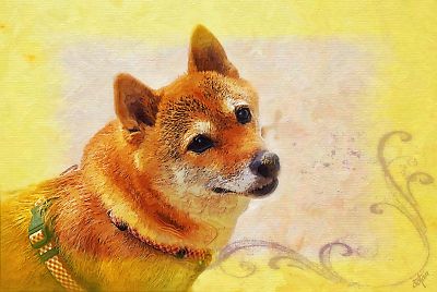 どう ? すてきな 香りでしょ