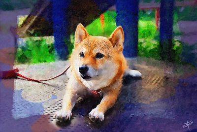 手足を しっかり伸ばし ストレッチ ?