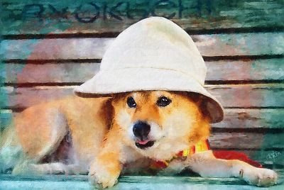 本当に 帽子 よく 似合ってる ?