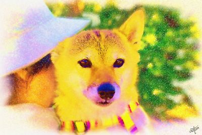 遅くなったから 早く行くよ はなちゃん