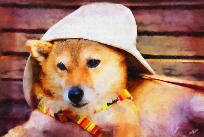帽子と 違うのに ・・・
