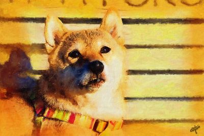 おかあさん 早く 〜
