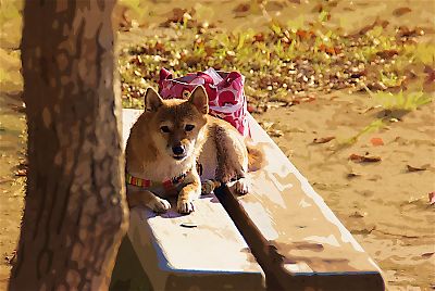 おとうさんは 木の陰から はなちゃんを ・・・