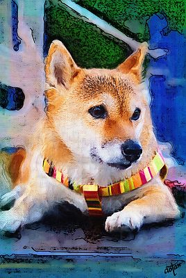 カメラを 素通り 知らん顔