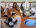 犬町3丁目町内会に ただ今 出演中 \(o∩_∩o)/