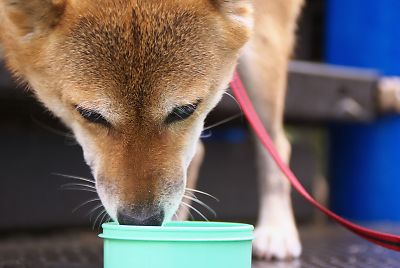 ノドが かわいた 〜